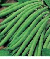 Vegetable Cutlet Recipe green beans 169x200