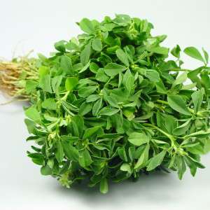 Fenugreek Methi Leaves 300x300 1