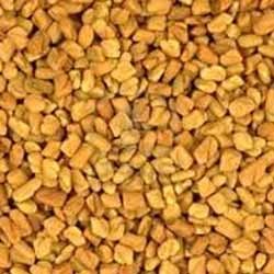 fenugreek methi seeds 250x250