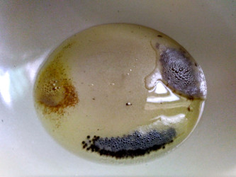 tempering white pan 333x250