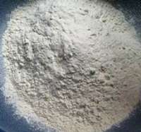 whole wheat flour 200x187