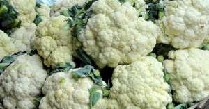 xcauliflower phool gobi 300x157.jpg.pagespeed.ic.6vgqe8v6hz