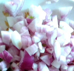 xchopped onion kanda 250x261.jpg.pagespeed.ic. gbc72umi5