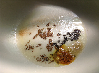 xtempering aloo gobi subji 335x250.jpg.pagespeed.ic.e7lvk b20l