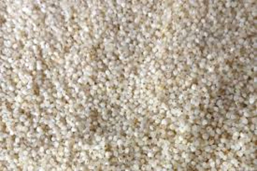 Types of millet and Millet Nutrition info bhagar varai barnyard millet sama rice 376x250