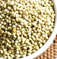 coriander seeds spice 200x205