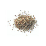 ajwain seeds -ova - omkalu250x250
