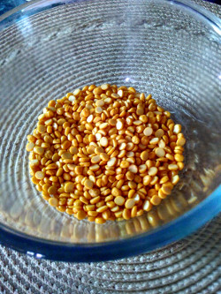 chana dal bowl 250x333