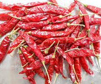 dry red guntur chilli  199x165
