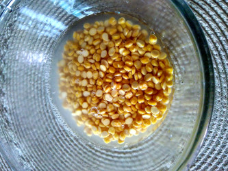 soaking chana dal 333x250