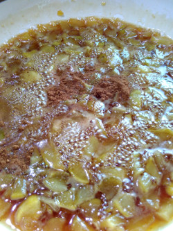 add cinnamon powder 250x333