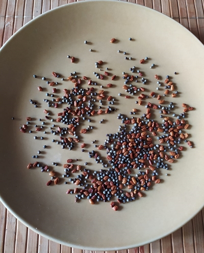 Mango Chutney Kairi chutney Recipe methi mustard roasted 400x497