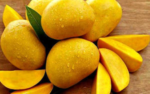 ripe mangos 300x188