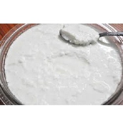 yogurt curd 250x250