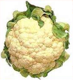 cauliflower - phoolgobi250x272