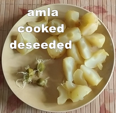 deseeded amla 400x391