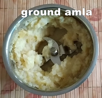 ground amla 400x386