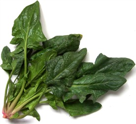 spinach - palak 276x250