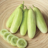 cucumber 