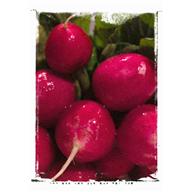 Radish Mooli Raita Recipe radishes 192x192