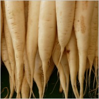 Radish Mooli Raita Recipe white radish 200x200