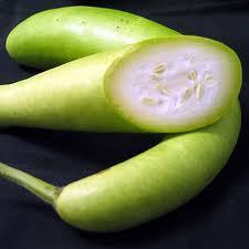 bottle gourd doodhi 250x250