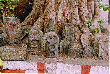 nagpanchami snake stone 375x251