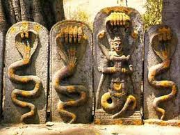 nagpanchmi 259x194