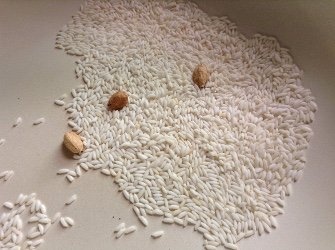 roasted rice 335x250