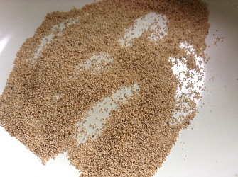 roasting poppy seeds 335x250